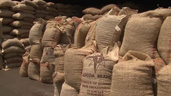  Stock De Cacao - café cacao thé  nous avons un stock de 500 tonnes de cacao. nous cherchons des preneurs. si vous etes int&eacute;ress&eacute; n'h&eacute;sitez pas &agrave; me contacter 