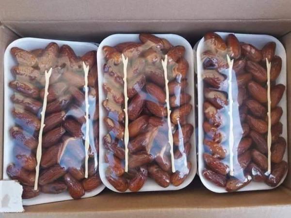  Dattes Deglet Enour De La Tunisie - fruits et légumes r&eacute;server d&egrave;s maintenant vos commandes de dattes deglet enour de la tunisie qualit&eacute; premium rapidit&eacute; de service transport assur&eacute; toutes commandes sont accept&eacute;s. 