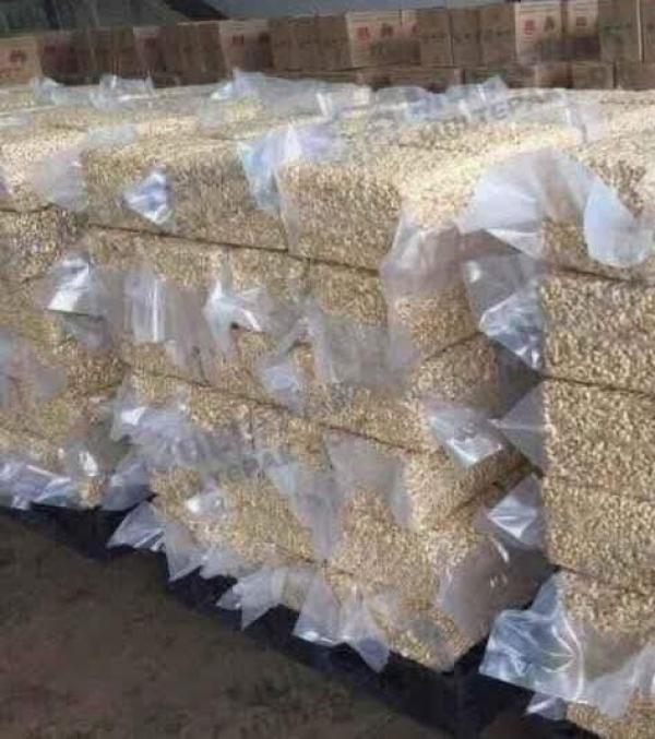  Offre Export–amandes De Cajou Premiumww180... - fruits secs et graines grillées  offre export – amandes de cajou premium (ww180 / ww240 / ww320 / ww450 / lwp) – origine c&ocirc;te d’ivoire disponibilit&eacute; imm&eacute;diate d’amandes de cajou blanches premium transform&eacute;es par des unit&eacute;s industrielles s&eacute;lectionn&eacute;es en c&ocirc;te d’ivoire et confo