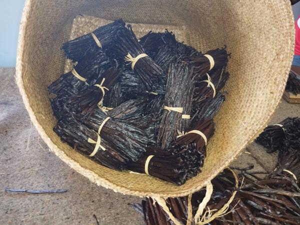  Vente De Vanille,café,cacao, Clou De Girofle - épices aromates  nous sommes fournisseur de vanilles poss&egrave;de agr&eacute;ment a la recherche des clients int&eacute;ress&eacute;s pour une collaboration &agrave; long termes vanille tk 14cm &agrave; 18cm taux vanillines 1% &agrave; 2% prix fob 80eur le kg bourbon 30% humidit&eacute; de 16cm &agrave;