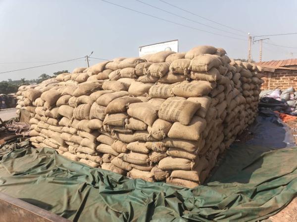  Fèves De Cacao Grade Grande Capacité - café cacao thé nous mettons en vente un stock important de f&egrave;ves de cacao d'origine c&ocirc;te d'ivoire reconnues mondialement pour leur ar&ocirc;me riche et leur qualit&eacute; de fermentation id&eacute;ale pour l'industrie du chocolat et des d&eacute;riv&eacute;s. nous sommes en mesure de satisfaire des