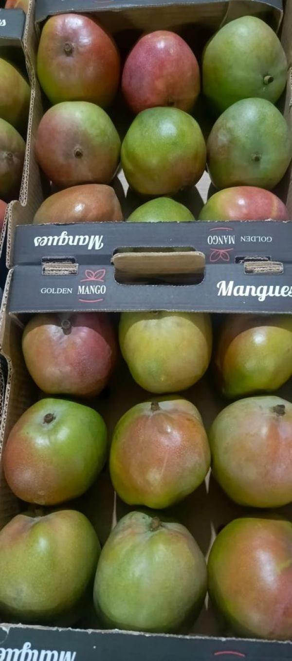  Fruits Et Legumes - fruits et légumes nous sommes une entreprise &eacute;mergeante au mali install&eacute;e dans la r&eacute;gion de sikasso et sp&eacute;cialis&eacute;e dans l’identification la collecte le conditionnement la vente et l’exportation des fruits et l&eacute;gumes de qualit&eacute;. en consid&eacute;rant les aspects li&