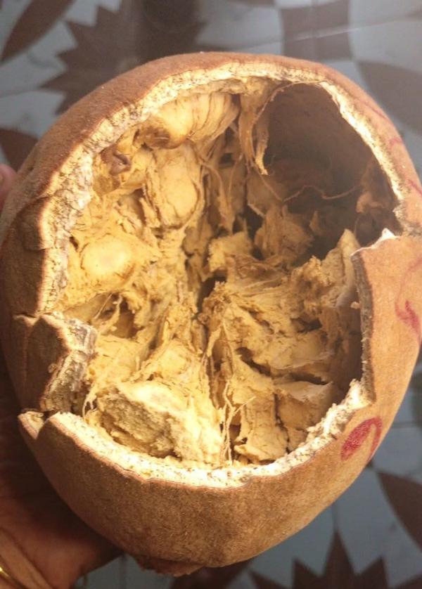  Fournisseur Épices, Poudre De Baobab, Vanille - épices aromates fournisseur export – produits naturels de madagascar approvisionnement direct producteurs – volumes disponibles – collaboration long terme &eacute;pices – qualit&eacute; export • poivre noir • poivre sauvage • baies aromatiques • cannelle en b&acirc;ton • cannelle en poudre • girofle • pi