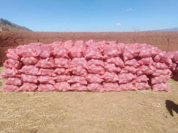  Nous Sommes De Nouveau Disponible Pour Vous - fruits et légumes  &agrave; tous nous avons le plaisir de vous annoncer que nous sommes de nouveau disponible pour vous fournir de taro / songe de madagascar. fid&egrave;les &agrave; nos engagements nous vous proposons la meilleure qualit&eacute; nos produits sont soigneusement calibr&eacute;s et ne 