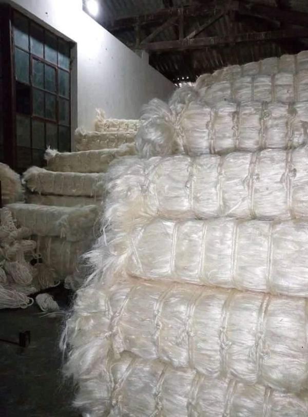  Sisal Fiber For Sale - other specification sisal fiber premium quality ug grade sisal fiber product sisal fiber ssug grade a length 110cm 130cm moisture 10% 13% impurity 0 2% max color cream white and brown 100% top quality sisal 