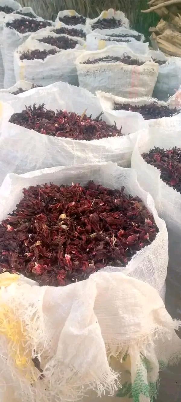  Feuilles D'hibiscus - épices aromates nous mettons en vente une grande quantit&eacute; des feuilles d'hibiscus issues de la nouvelle r&eacute;colte 2025 id&eacute;al pour les producteurs des jus locales et les industries de boissons. le prix est 2100 fcfa/ kg. contacter sur notre whatsapp pour plus d'informations.