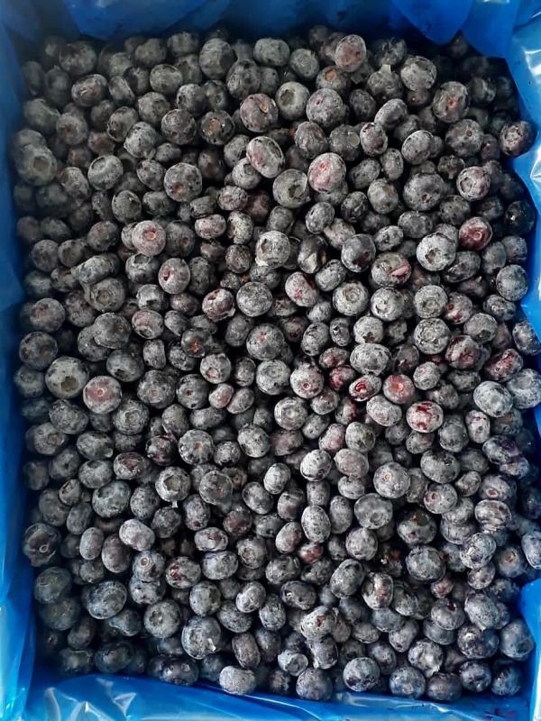  Myrtille Surgelées Marocaine - fruits et légumes  nous sommes au maroc et nous proposons des myrtilles 90/10 pour industriels carton de 10kg ou 20kg 