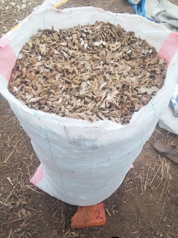  Dry Ginger - aromatic spices discover our premium quality dry ginger directly imported from tanzania 100% natural well dried aromatic and spicy perfect for teas cooking and traditional remedies