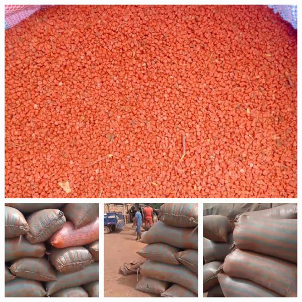  Offre Graines De Rocou (annatto) Campagne - épices aromates offre – graines de rocou (annatto) – campagne 2026 – c&ocirc;te d’ivoire nous proposons des graines de rocou (annatto) issues de producteurs s&eacute;lectionn&eacute;s en c&ocirc;te d’ivoire. sp&eacute;cifications origine c&ocirc;te d’ivoire r&eacute;colte 2026 teneur en bixine 2 5 %