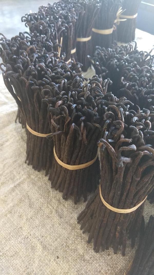  Madagascar Organic Vanilla Beans - aromatic spices we supply best quality gourmet grade a vanilla beans from madagascar with reasonable and fast delivery specification moisture 30% 35% vanillin 1 6% 2 4% length 15cm 20cm shelf life 24 months free contact us via whatsapp text and call for more information or need sample to test or chec