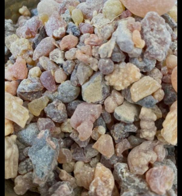  Recherche Fournisseur 20 Tonnes De Gomme Mb - matiere vegetale  nous sommes une soci&eacute;t&eacute; d'import export marocaine. nous cherchons un fournisseur ou grossiste fiable au s&eacute;n&eacute;gal (de pr&eacute;f&eacute;rence avec entrep&ocirc;t &agrave; dakar rufisque ou diamniadio) pour l'achat de 20 tonnes de gomme mbepp (r&eacute;sine natur