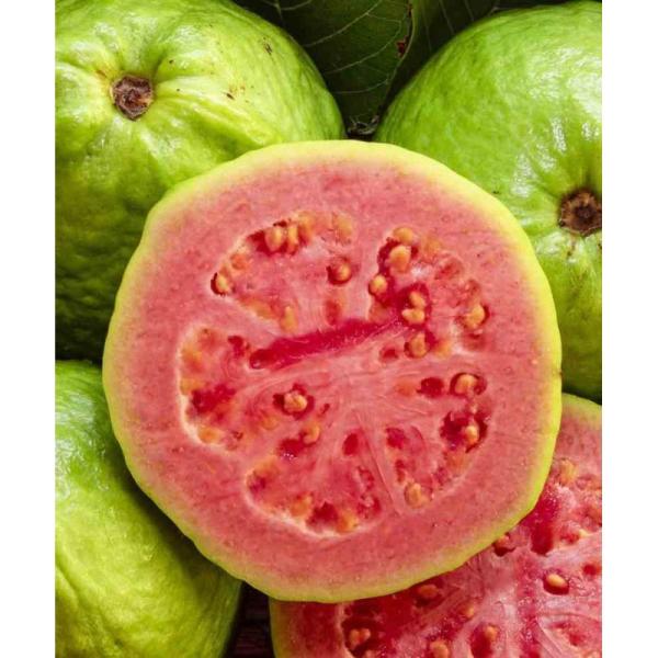  Recherche Fournisseur Goyave Bio En Cubes - fruits et légumes nous recherchons un fournisseur de goyave bio en cubes pour usage industriel agroalimentaire. exigences   certification biologique valide   produit de qualit&eacute; export   sans additifs   tra&ccedil;abilit&eacute; compl&egrave;te   fiche technique et documentation disponibles merci de nous transm