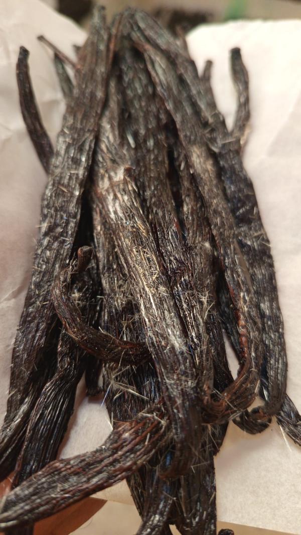  Vanille Crystallisée - épices aromates offre limit&eacute;e. vanille planifolia crystallis&eacute;e origine uganda / mukono. taille 18 a 18cm humidit&eacute; 28 a 30% vanilline +2.8% prix 140euros le kilo livr&eacute;e en france. commande minimum 10kg.