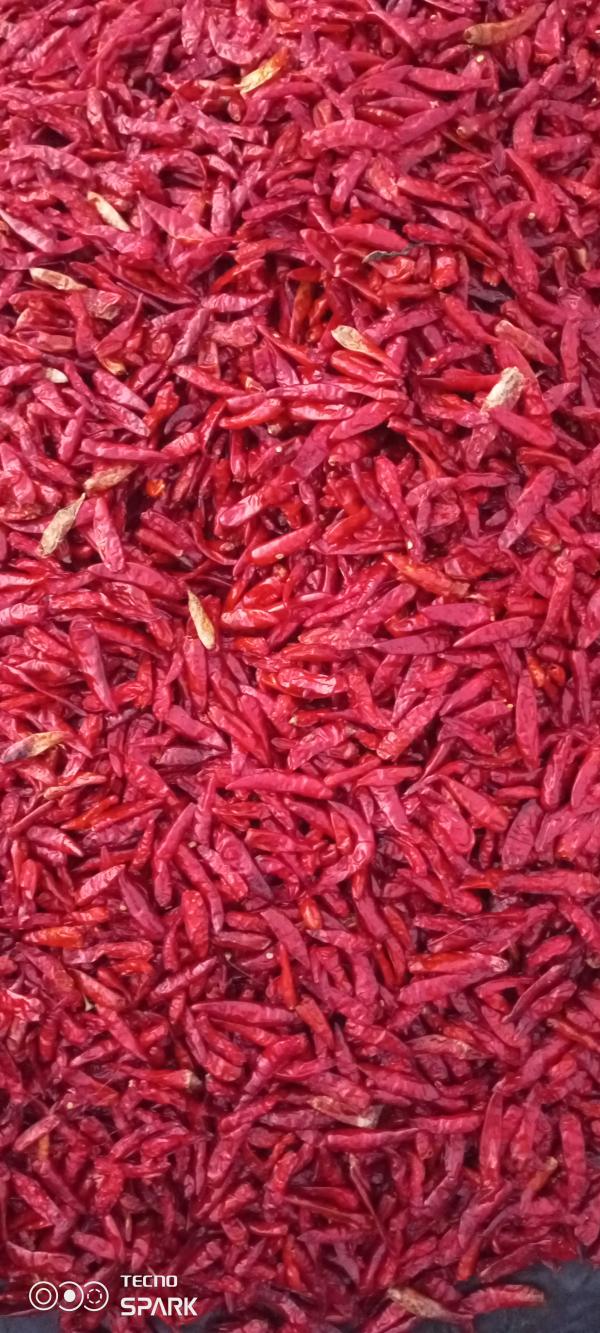  Vente De Piment Sec Thaïlandais - épices aromates nous disposons de piments sec thaïlandais tr&egrave;s bien &eacute;pic&eacute; et bien rouge de tr&egrave;s bonne qualit&eacute;. la production se fait sur place ainsi que s&eacute;chage dans les conditions tr&egrave;s favorable. 