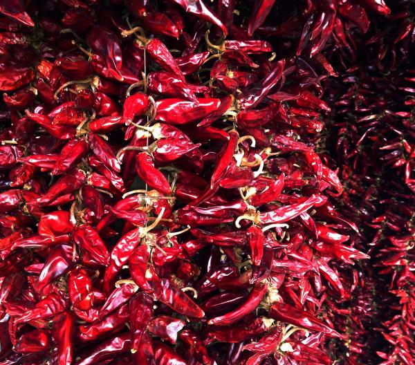  Recherche Fournisseur Paprika - fruits secs et graines grillées soci&eacute;t&eacute; d’export bas&eacute;e &agrave; madagascar recherche producteurs ou fournisseurs de paprika entier s&eacute;ch&eacute; et paprika en poudre pour approvisionnement destin&eacute; &agrave; l’export. crit&egrave;res • qualit&eacute; export • produit propre bien s&eacute;ch&eacute;