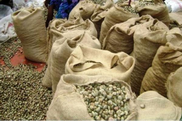  Noix De Cajou - fruits secs et graines grillées nous proposons des noix de cajou brutes (anacarde) de qualit&eacute; export origine c&ocirc;te d’ivoire disponibles imm&eacute;diatement. • prix 1 500 usd / tonne – fob • quantit&eacute; selon disponibilit&eacute; • conditionnement sacs export standards • inspection possible avant exp&