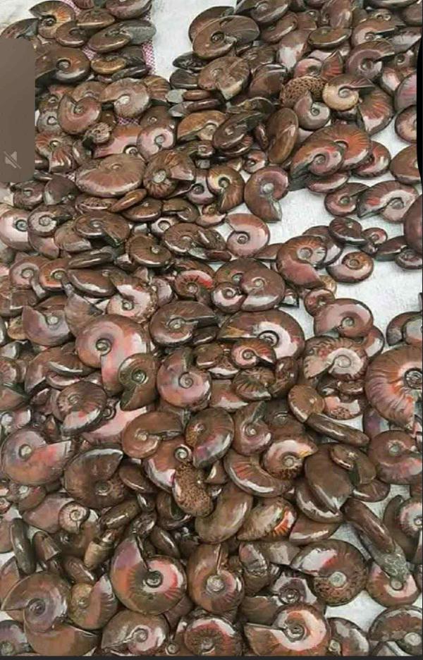  Stone - stone rock we are based in madagascar and offer a wide selection of natural stones such as rose quartz ammonites apatite labradorite and many others. our stones are available rough or cut in various shapes and qualities. we work with international buyers wholesalers and importers. please feel free to