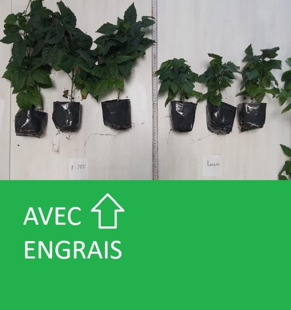  Cherchons Distributeurs En Afrique - chimie additif engrais notre entreprise fabrique des engrais liquides &agrave; base de tourbe (organiques et organo min&eacute;raux). nous cherchons des partenaires / distributeurs pour l'exportation en afrique angola kenya zimbabwe s&eacute;n&eacute;gal &eacute;thiopie zambie afrique du sud. nous avons de grand