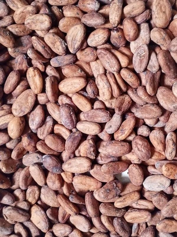  Offre Fèves De Cacao Côte D’ivoire - café cacao thé offre – f&egrave;ves de cacao – c&ocirc;te d’ivoire origine c&ocirc;te d’ivoire type forastero sp&eacute;cifications humidit&eacute; max 7 % grades disponibles grade 1 grade 2 kluster (30 % f&egrave;ves / 70 % bris&eacute;es) chargement conteneur 20’ ~19 mt 40’ hq ~38 mt 