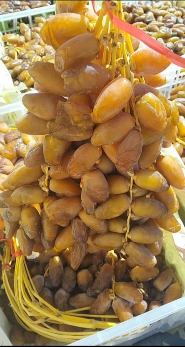  Exportateur De Deglet Nour D'algérie - fruits et légumes nous sommes fournisseurs et exportateurs de dattes alg&eacute;riennes deglet nour de haute qualit&eacute; provenant de la r&eacute;gion de biskra – tolga (alg&eacute;rie). nous proposons des dattes naturelles soigneusement s&eacute;lectionn&eacute;es adapt&eacute;es &agrave; l’export pour grossis