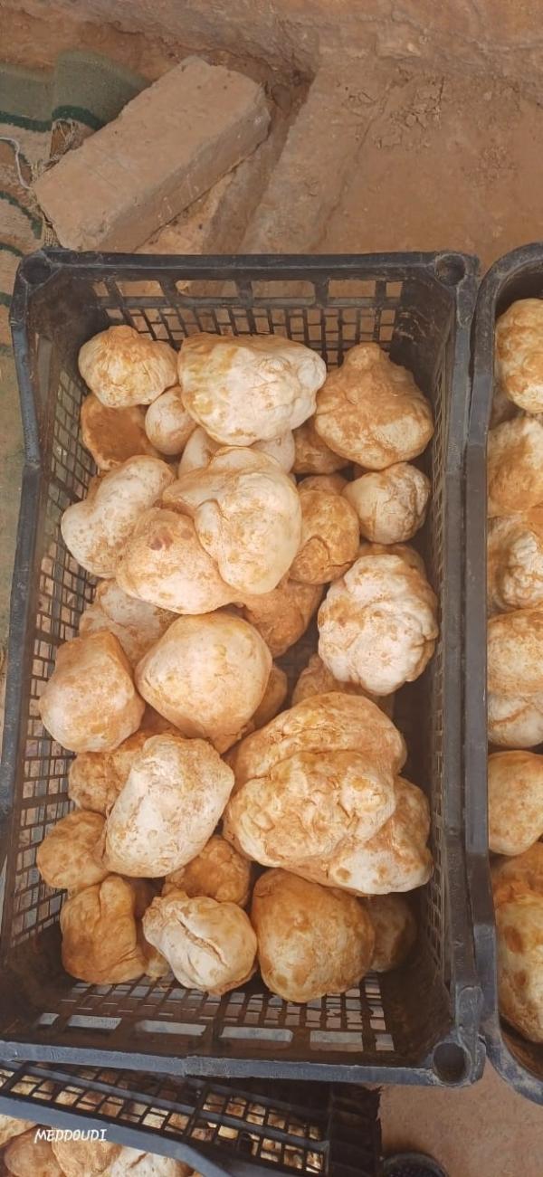  Terfes Truffes Du Désert De Qualité Premi - fruits et légumes nous proposons des **terfes** (truffes du d&eacute;sert) de grande qualit&eacute; r&eacute;colt&eacute;es dans les r&eacute;gions sahariennes d'alg&eacute;rie. ces champignons sauvages exceptionnels sont tr&egrave;s pris&eacute;s pour leur saveur unique et leurs qualit&eacute;s nutritionnelles rema