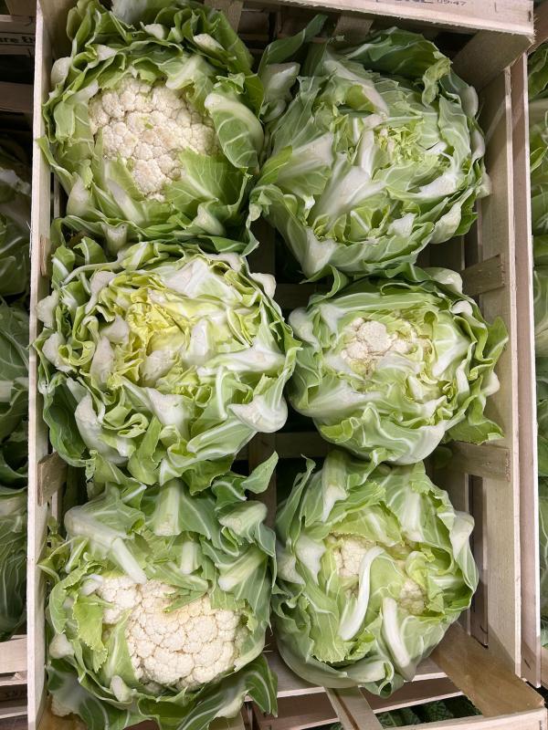  Choux-fleur De Bretagne - fruits et légumes le chou fleur de bretagne est un l&eacute;gume embl&eacute;matique de la production mara&icirc;ch&egrave;re fran&ccedil;aise. cultiv&eacute; dans les conditions climatiques id&eacute;ales du littoral breton il se distingue par sa pomme blanche ferme et compacte ainsi que par sa fra&icirc;cheur et