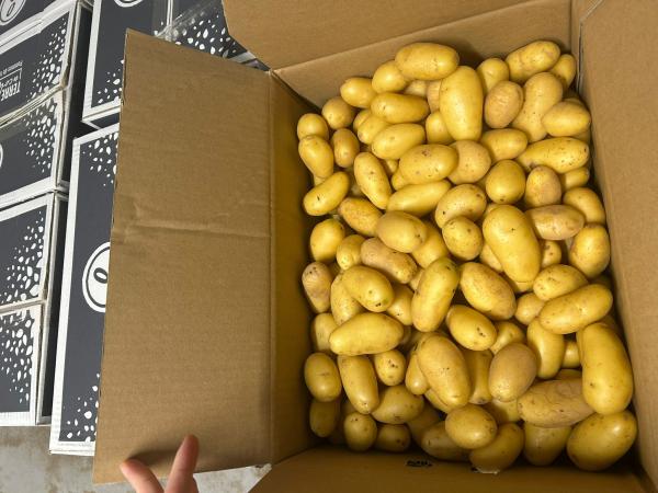  Pomme De Terre Et Carotte De Sable France - fruits et légumes nous proposons une s&eacute;lection de produits frais fran&ccedil;ais reconnus pour leur qualit&eacute; et leur fra&icirc;cheur carottes de sable appr&eacute;ci&eacute;es pour leur go&ucirc;t doux et leur texture tendre ainsi que pommes de terre d’automne s&eacute;lectionn&eacute;es pour leur