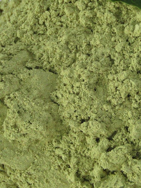  Feuilles Et Poudre De Moringa - horticulture plante biocarburant nous disposons des feuilles de moringa enti&egrave;res sans brisure et poudre fine s&eacute;cher &agrave; l'ombre dans les meilleurs conditions sans impuret&eacute;s quelconque et son &eacute;tat nutritionniste intact disponible en gros et d&eacute;tails avec un commande minimale de 5 kg . prix 5000