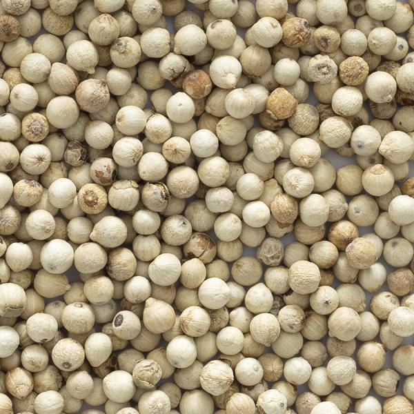  Recherche Fournisseur Poivre Sauvage - épices aromates nous sommes &agrave; la recherche de producteurs/fournisseurs de poivre sauvage tsiperifery blanc de bonne qualit&eacute; disposant de volumes disponibles pour une &eacute;ventuelle collaboration commerciale. merci de nous transmettre origine du produit quantit&eacute;s disponibles type de conditi