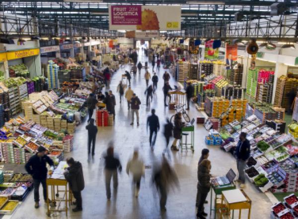  Broker In Barcelona Wholesale Market - fruits and vegetables i am an independent broker based in the barcelona wholesale market. i help uk clients source fresh products directly from the market at competitive prices. we can grow the business together step by step.   direct purchasing from the market   quality control   organization of transport to the uk 