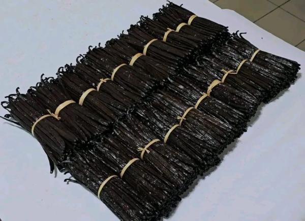  Vanille Bourbon De Madagascar De Qualité - épices aromates nous sommes producteurs et exportateurs de vanille bourbon de madagascar. nous proposons diff&eacute;rentes vari&eacute;t&eacute;s et produits notamment vanille bourbon calibre 16–18 cm &agrave; 60€/kg livr&eacute; franco vanille pompona extra large 19 24 cm calibre vanille tsy taitry ( 