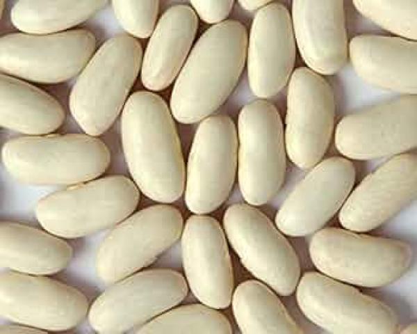  Recherche Producteurs Fournisseurs De Haric - fruits et légumes nous recherchons des producteurs ou fournisseurs fiables de haricot blanc &agrave; madagascar pour une collaboration commerciale durable. nous sommes int&eacute;ress&eacute;s par un produit bien tri&eacute; propre et de qualit&eacute; export avec possibilit&eacute; de volumes r&eacute;guliers. nou