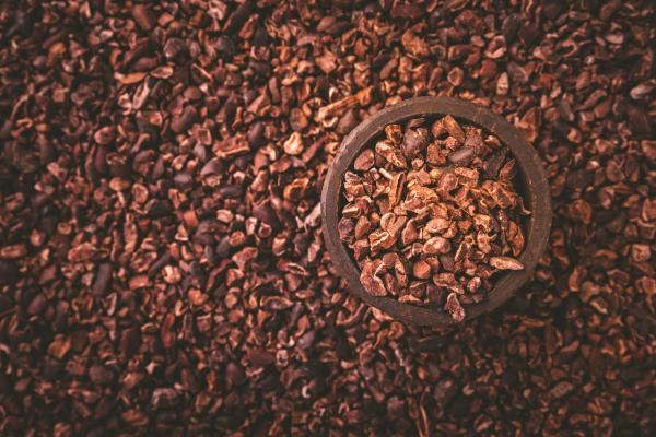  Nibs, Fève Torréfiée, Masse Beurre De Cacao - café cacao thé transformateur expert nous fournissons du cacao premium (nibs croquants f&egrave;ves torr&eacute;fi&eacute;es masse onctueuse et beurre naturel) directement &agrave; la source. nos atouts une fermentation ma&icirc;tris&eacute;e une tra&ccedil;abilit&eacute; totale (norme eudr) et une puret&ea
