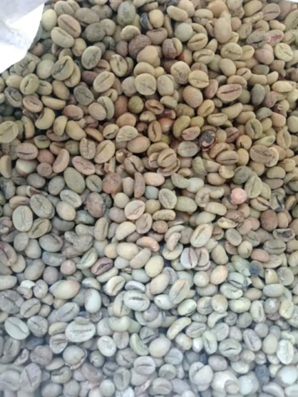  Café Robuste - café cacao thé occasion &agrave; saisir ! caf&eacute; robuste de madagascar premi&egrave;re qualit&eacute;. quantit&eacute; disponible 100tonnes et plus si int&eacute;ress&eacute; voyez me contacter svp. 