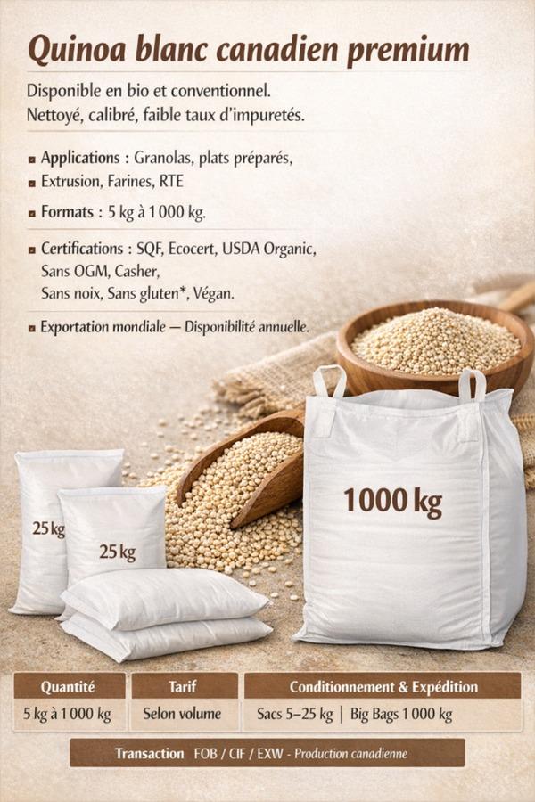  Quinoa Blanc En Vrac Canadien Bio Et Conv - fruits secs et graines grillées quinoa blanc canadien premium disponible en bio et conventionnel. nettoy&eacute; calibr&eacute; faible taux d impuret&eacute;s. applications granolas plats pr&eacute;par&eacute;s extrusion farines rte. formats 5 kg &agrave; 1 000 kg. certifications sqf ecocert usda organic sans og