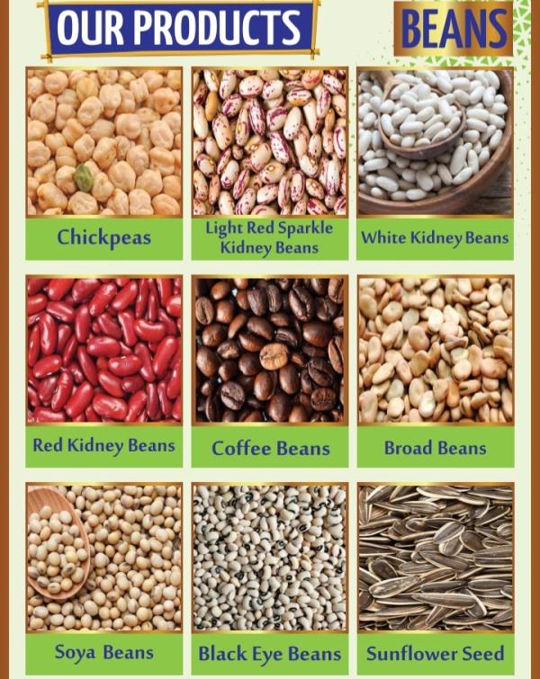  Beans Graines - céréales chickpeas → pois chiches light red sparkle kidney beans → haricots rouges tachet&eacute;s clairs white kidney beans → haricots blancs red kidney beans → haricots rouges coffee beans → grains de caf&eacute; broad beans → f&egrave;ves soya beans → graines de soja black eye beans → haricots &agr