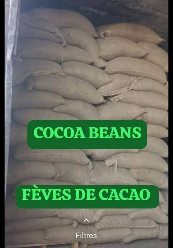  Sale Of Cocoa Beans/ Vente De Fèves De Cacao - coffee cocoa tea sale of cocoa beans / vente de f&egrave;ves de cacao export of cocoa beans / exportation des f&egrave;ves de cacao origin of cocoa beans ( africa ) monthly capacity more than 1000 tons per month my number is open 
