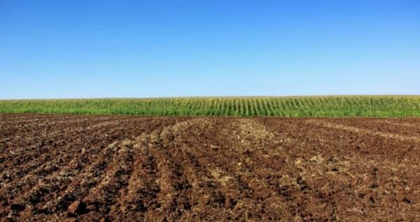  Terre Agricole Congo Brazzaville - Investissement capitaux j'ai des terres agricoles ( une centaine d'hectares) &agrave; une heure de brazzaville. je cherche un partenaire financier pour cr&eacute;er une entreprise agricole en bonne due forme. fort potentiel avec le march&eacute; de brazzaville et kinshasa 