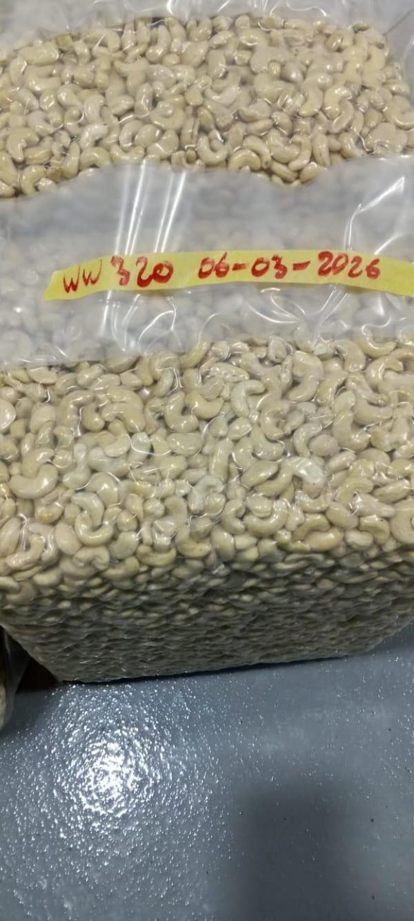  Noix De Cajou Et Chocolatier - café cacao thé nous disposons de plusieurs tonnes de noix de cajou qualit&eacute; premium de cette ann&eacute;e et aussi des f&egrave;ves de cacao de poudre de cacao de nibs de cacao de masse de cacao et beurre de cacao qualit&eacute; premium disponible fruit s&eacute;cher ( ananas s&eacute;cher banane s&eacu