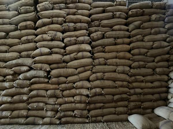  Raw Cajou Nuts - roasted seeds and nuts rcn ( raw cajou nuts) in bags crop 2026 10000 tons up to 20000 tons origin/ guin&eacute;&eacute; bissau cif container vietnam port 