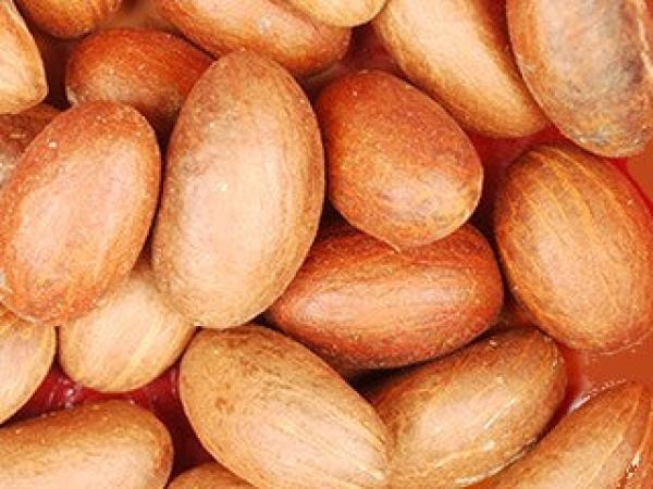  Petits Colas - épices aromates les petits colas sont disponibles chez nous avec de bons prix.les petits colas sont utiles &agrave; l'homme de sauvegarder sa sant&eacute;. les petits colas ont de multiples fonctions dans l'organisme humain et luttent contre &agrave; de multiples maladies et autres.donc nous disposons de ces prod