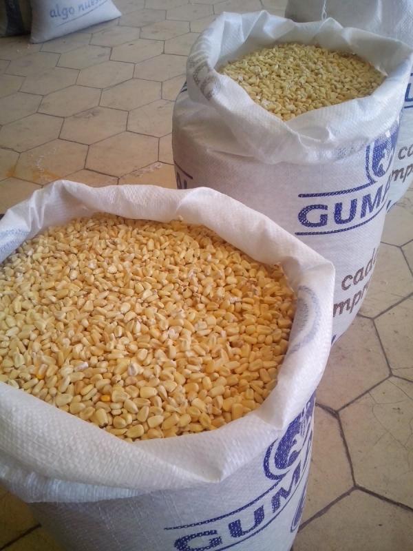  Maïs Blanc - céréales nous sommes fournisseurs en gros de maïs jaune de premi&egrave;re qualit&eacute; pour l'alimentation animale de maïs blanc de maïs jaune pour l'alimentation humaine de soja et de tourteau de soja ainsi que d'autres aliments pour animaux comme la farine de poisson. nous recherchons des acheteurs 