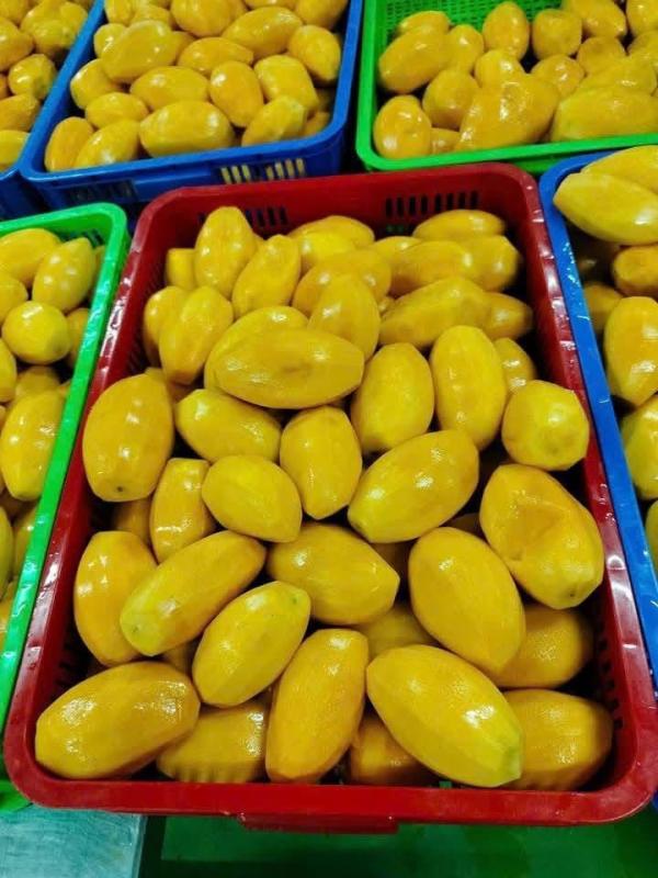  Monge Surgelee Traiter Au Maroc - fruits et légumes  nous vous proposons des monge d'origine cote d'ivoire traiter au maroc pret a l'export tous les certif phytosanitaire et les fiche technique disponibles. 