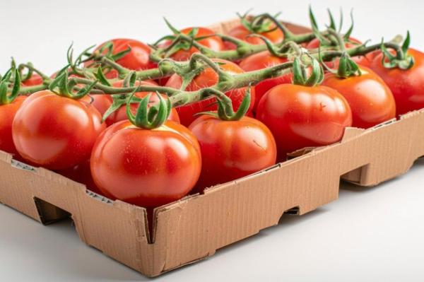  Spécialiste Tomates Station D’emballage - fruits et légumes  repr&eacute;sentant d’une station d’emballage des fruits et l&eacute;gumes sp&eacute;cialis&eacute;e dans la tomate nous offrons des solutions compl&egrave;tes pour les importateurs et grossistes exigeants. notre expertise se concentre sur la qualit&eacute; la fra&icirc;cheur et la flexi