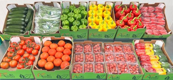  Export De Fruits Et Légumes Frais Du Maroc - fruits et légumes  exportation de fruits & l&eacute;gumes frais du maroc vous recherchez un fournisseur fiable de produits frais marocains de qualit&eacute; premium ? nous proposons une large gamme de fruits et l&eacute;gumes soigneusement s&eacute;lectionn&eacute;s directement issus de fermes partenaires r&eacut
