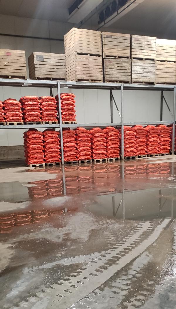  Carottes Fraîches - fruits et légumes  nous sommes un exportateur sp&eacute;cialis&eacute; dans la fourniture de fruits et l&eacute;gumes frais &agrave; destination de l'afrique de l'ouest. nous proposons &agrave; la vente des carottes fra&icirc;ches de qualit&eacute; premium  produit carottes fra&icirc;ches conditi