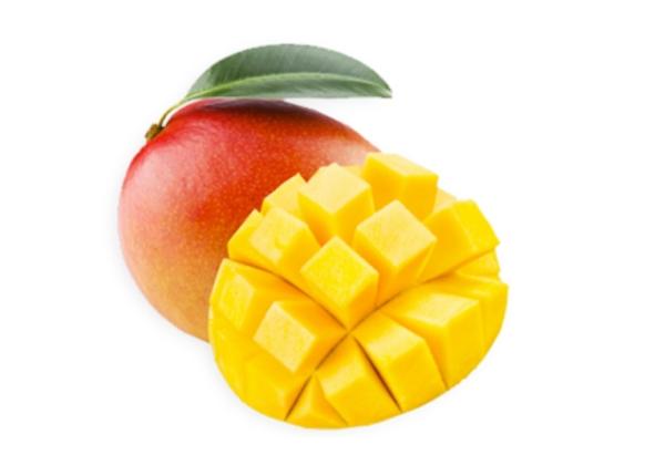  Mangue Kent Premium - fruits et légumes mangue kent premium bateau & avion — export vers l'europe et afrique de l'ouest  nous sommes un exportateur sp&eacute;cialis&eacute; dans la fourniture de fruits exotiques africains premium &agrave; destination de l'europe et de l'afrique de l'ouest. nous proposons &agrave; la vente