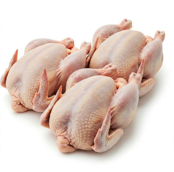  Produits Congelé - viandes et oeufs *investissement dynamique au b&eacute;nin chambre froide pour exportations de produits congel&eacute;s* *opportunit&eacute; d'affaires rentable au b&eacute;nin !* nous recherchons des investisseurs pour cr&eacute;er une chambre froide moderne et performante au b&eacute;nin destin&eacute;e &
