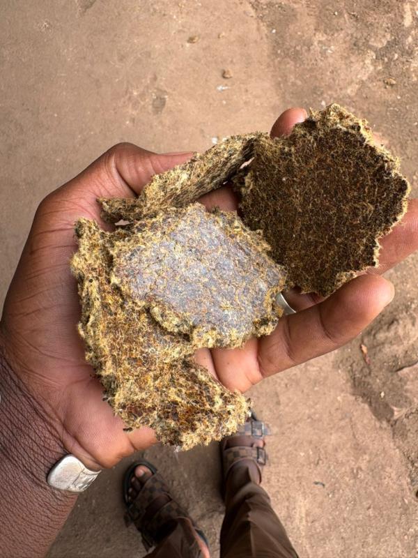  Tourteau De Coton Ou Autre - aliments pour animaux nous sommes une entreprise sp&eacute;cialis&eacute;e dans la vente d'aliments b&eacute;tails et volailles au mali &agrave; bamako. nous avons besoin d'une quantit&eacute; importante de tourteau de coton environ 1000 tonnes dans des br&egrave;ves d&eacute;lais de livraison. merci pour votre compr&