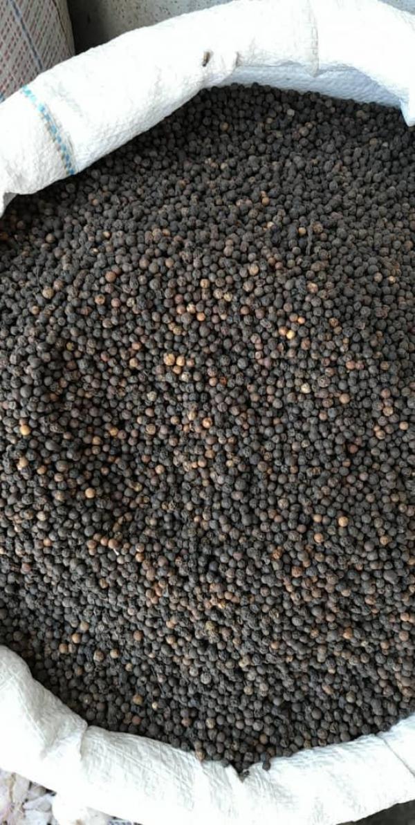  Fournisseur De Poivre Noir - épices aromates nous avons &agrave; disposition une grande quantit&eacute; de poivre noir 570/580 gl gros grain. pour toutes demandes n’h&eacute;sitez pas &agrave; nous contacter. origine br&eacute;sil